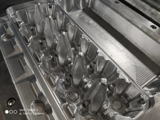 Moule en aluminium de pulpe d'OEM de Tray Mold d'oeufs de 30 trous
