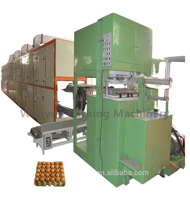 Fruit sec Tray Egg Tray Equipment de Disposable Paper Molded de fabricant